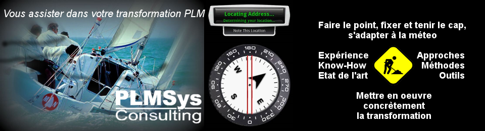 Transformation-4-PLMSys Mission_960x260.png